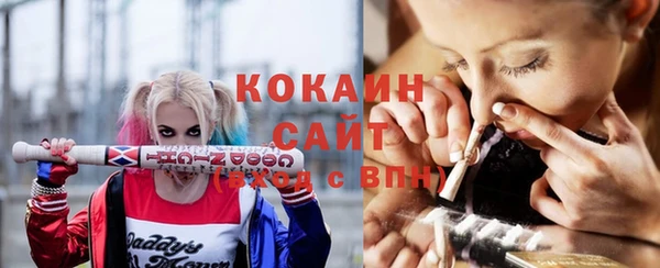 шишки Пересвет