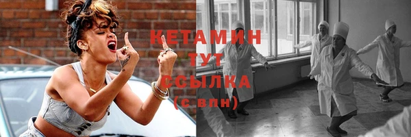 шишки Пересвет