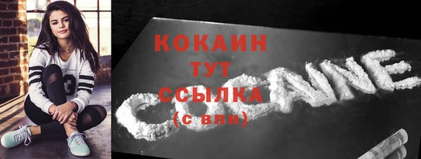 гашик Переславль-Залесский
