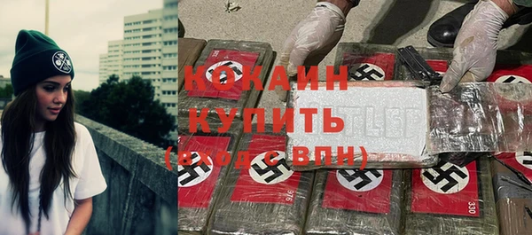 шишки Пересвет