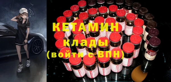 шишки Пересвет