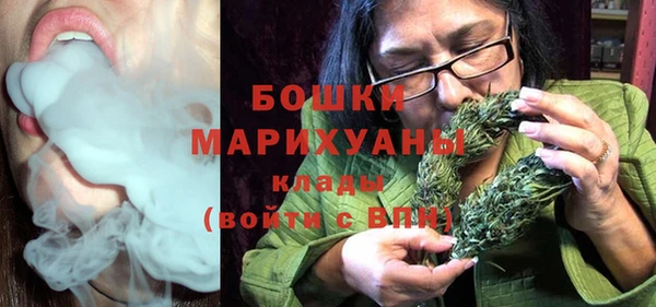 шишки Пересвет
