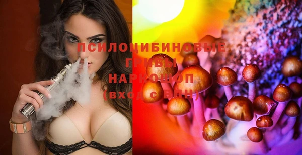 гашик Переславль-Залесский